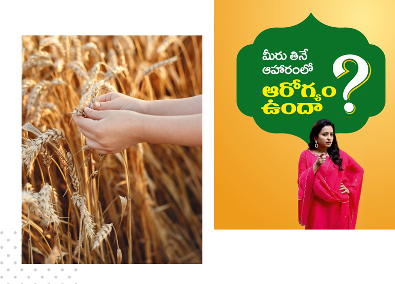 Aishwarya Foods
